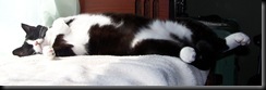 long long