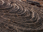 Ropes of lava, East Rift Zone 2