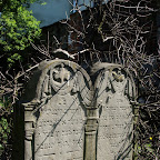 DSC02772.JPG