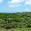 La savane des pétrifications