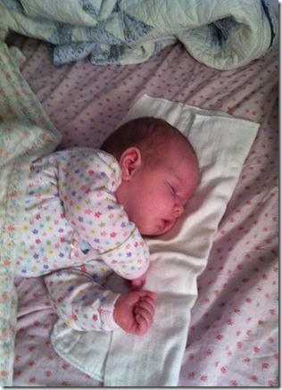 IMG_0947 IMG_0947