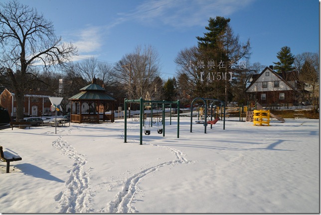 DSC_1298- DSC_1298-