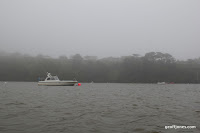 IMG_9327.JPG Photo
