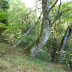 2011.07.10. - M&M na Dovški Babi