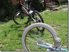 yard 2012 019