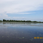 IMG_0240.JPG