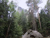DSCN1450.JPG Photo