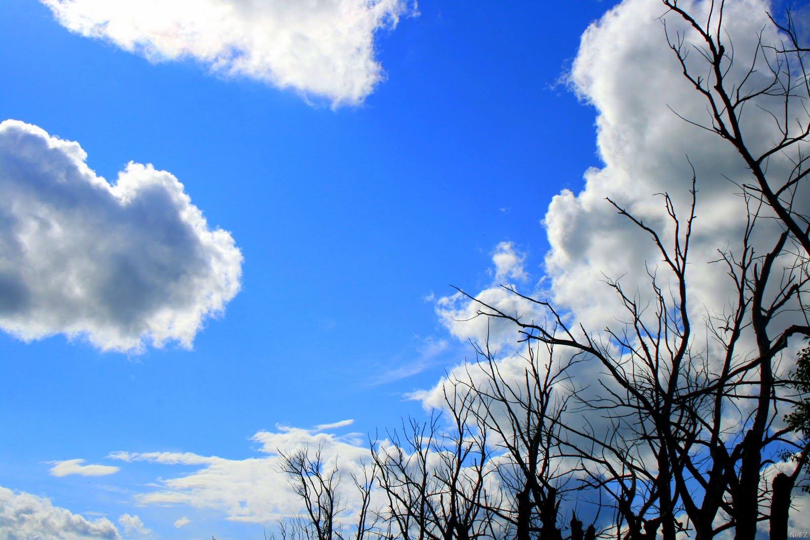 [IMG_3193.jpg]