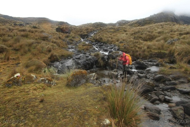 [IMG_3557%255B4%255D.jpg]