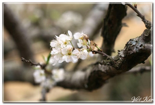 [IMG_4367%255B3%255D.jpg]