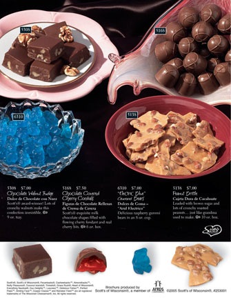 Chocolate Brochure Examples_Page_8
