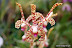 Natura :: Img0500.jpg