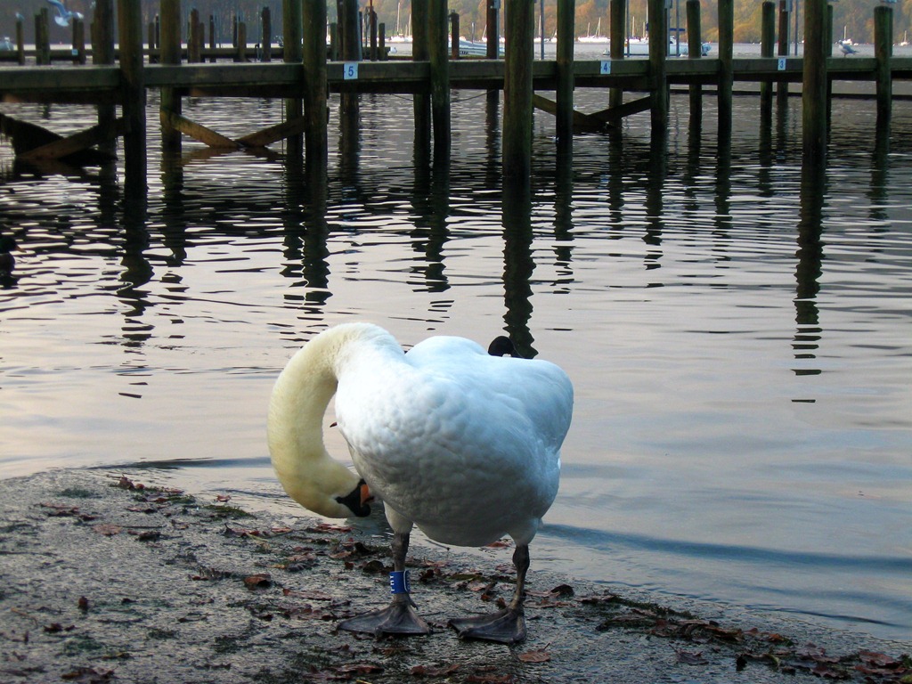[IMG_26135.jpg]