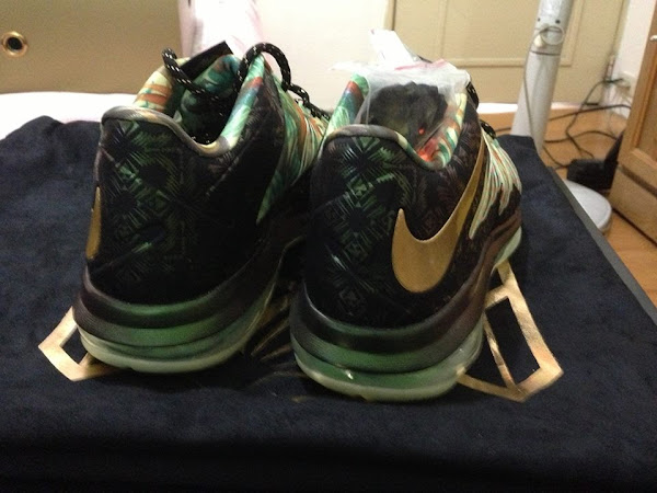 Nike LeBron X 8211 Celebration Pack 8211 Special Packaging