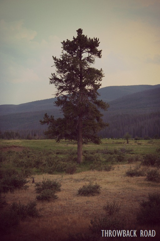 [Grand%2520Lake%2520141%255B5%255D.jpg]