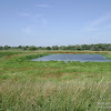 rozlewiska w Uradzie dsc05772.jpg