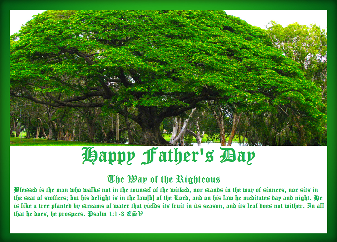 [Happy%2520Father%2527s%2520Day%2520%257E%2520The%2520Way%2520of%2520the%2520Righteous.%2520Psalm%25201.1-3%2520ESV%255B39%255D.png]