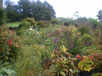 Cottage garden