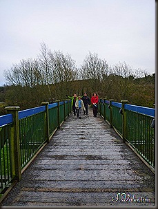 P1120420 P1120420