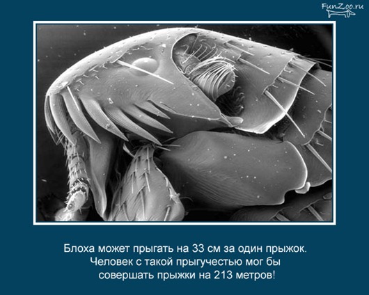[clip_image016%255B3%255D.jpg]