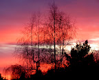 2012.02.03.18_52_10.JPG