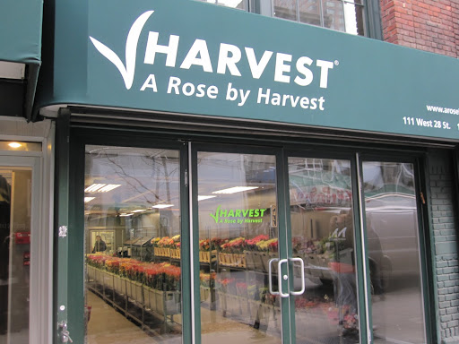 Another stop was made at A Rose By Harvest -- they just recently opened their store this month!