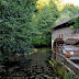2011.09.11. - Trdinov vrh