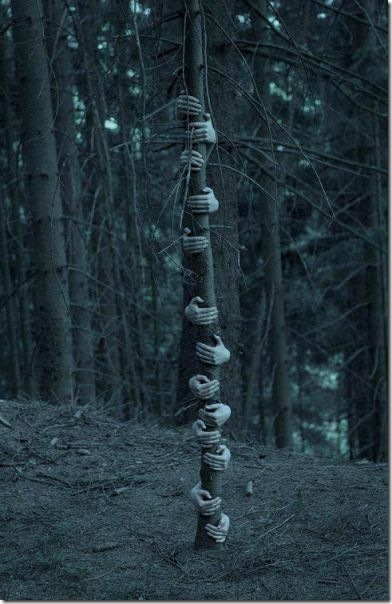viral-picdump-pics-44