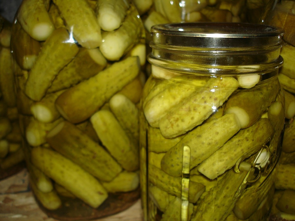 [Dill-pickles5.jpg]