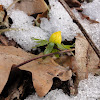 dsc06555.jpg