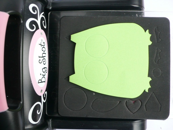 [Anna-Drai---owl----birthday-boy-44.jpg]