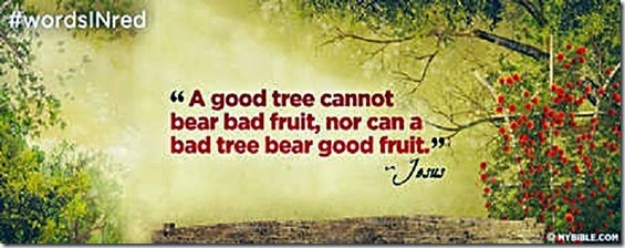 Good Tree- not both good & bad fruit Good Tree- not both good & bad fruit