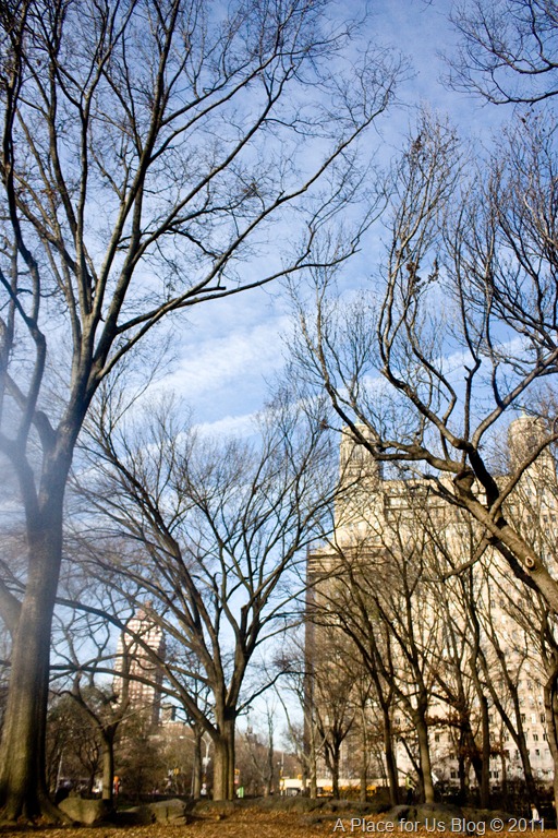 [IMG_0732_27773.jpg]