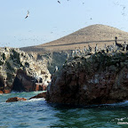 Can you hear the bird cries and smell the guano?