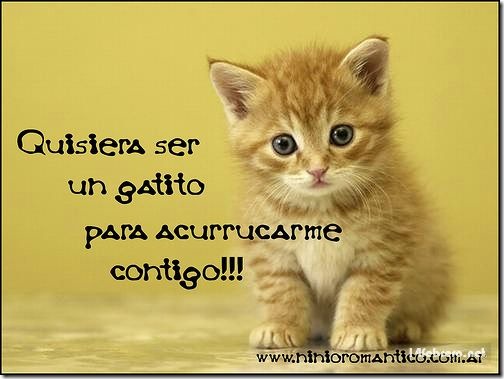 facebook - 14febrero-net (10)