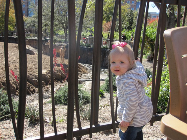 [IMG_0931%255B2%255D.jpg]