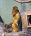 National Zoo in August
