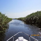 IMG_5657.JPG