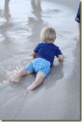 IMG_2637 IMG_2637