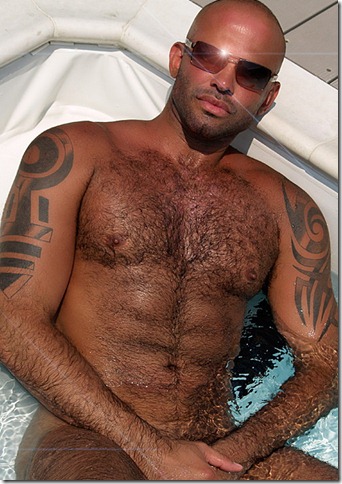 gay hairy13
