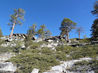 P1000328.JPG