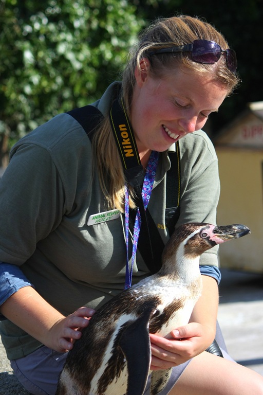 [IMG_0954-001%255B7%255D.jpg]