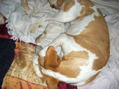 Tita y Duna1