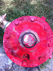 Hydrants too!  It's a virtual dog paradise!