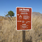 IMGP881.JPG