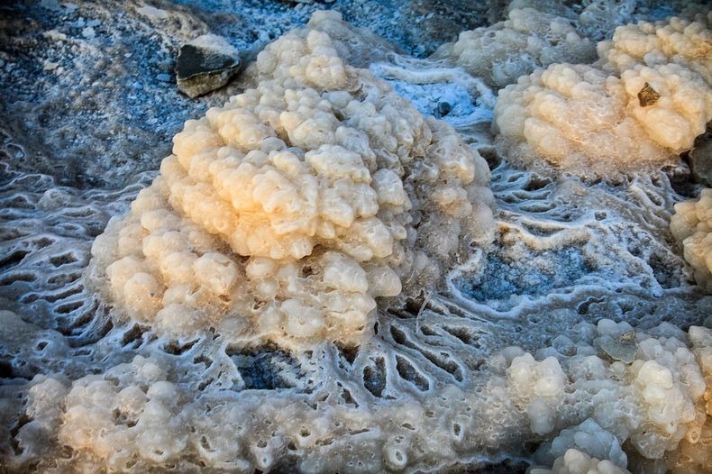 الترسبات الملحية في البحر الميت بأشكال مدهشة ومذهلة  Dead-sea-salt-crystals-4%25255B2%25255D