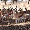 IMG_0768.JPG