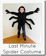 Last minute spider costume