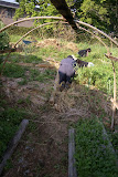 DSC08087.JPG