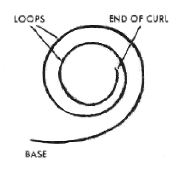 [Structure-of-a-pin-curl%255B3%255D.png]